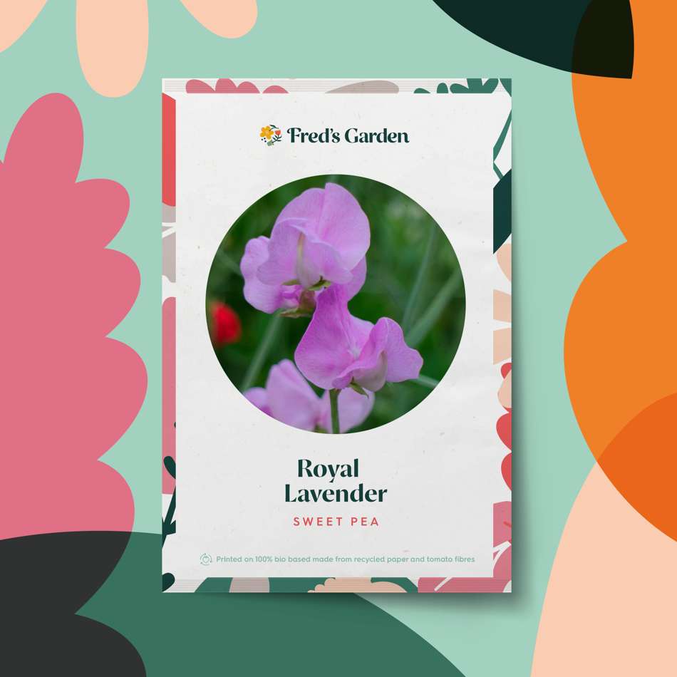 Luktärt 'Royal Lavender' (frö)